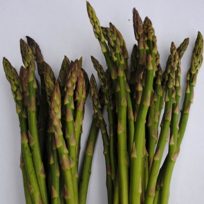 Picture of Asparagus Ariane F1
